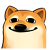 BogOnMyDog