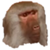 SaulApeMan