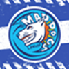 maddogsleague